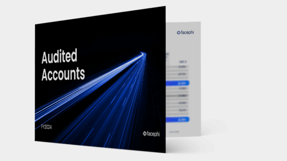 Mockup Audited Accounts