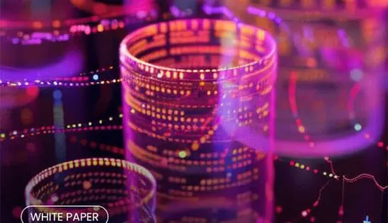 Portada del whitepaper Verificación Digital de la Identidad (IDV) para proveedores de servicios de criptoactivos 