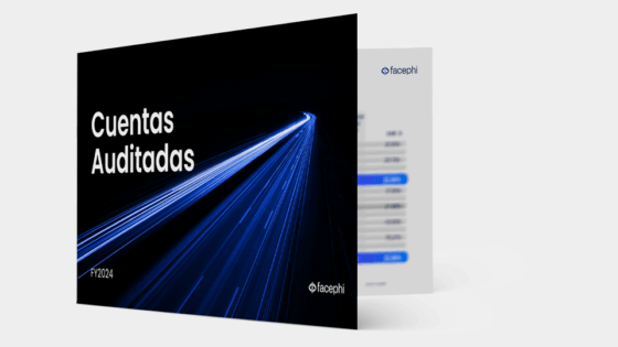Mockup cuentas auditadas
